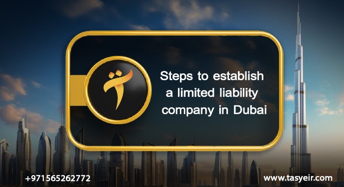 Steps to establish a limited liability company in Dubai